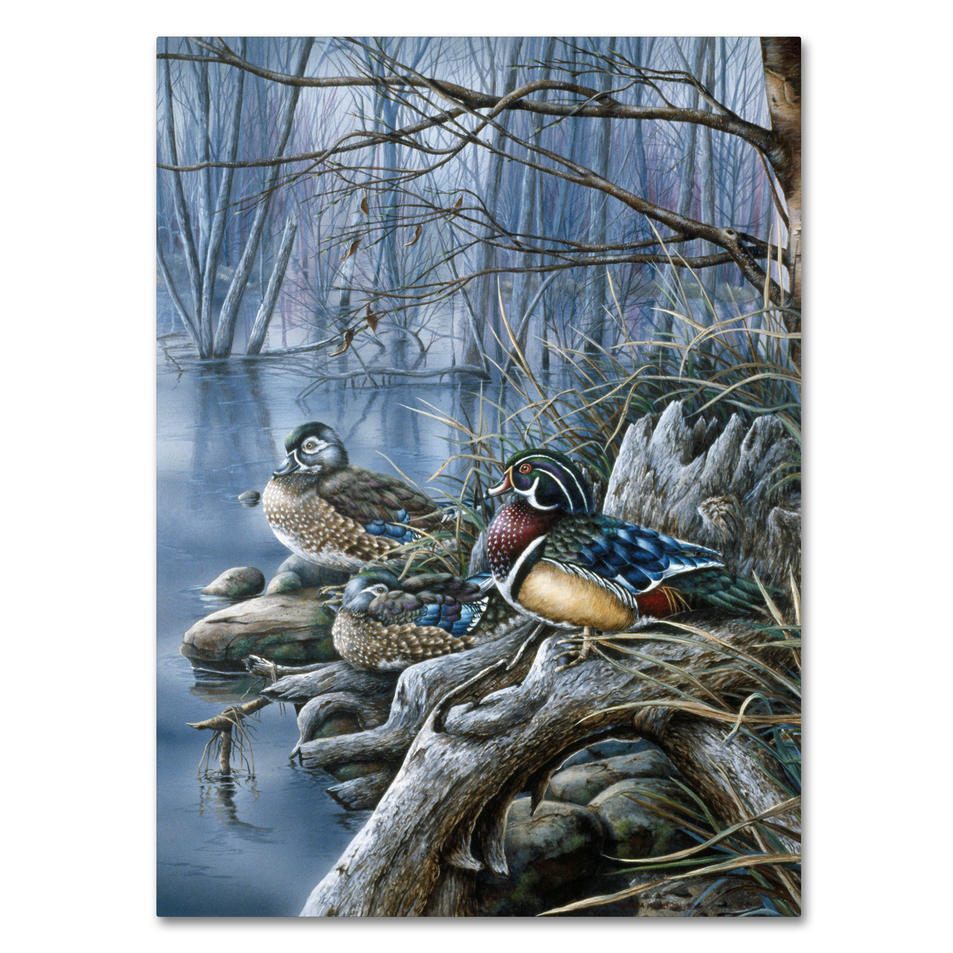 woodies water wipes