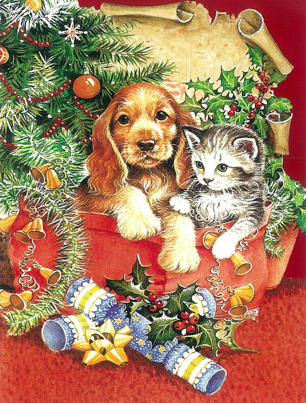 Caroline S Treasures Christmas Puppy And Kitten 2 Sided Garden Flag Wayfair