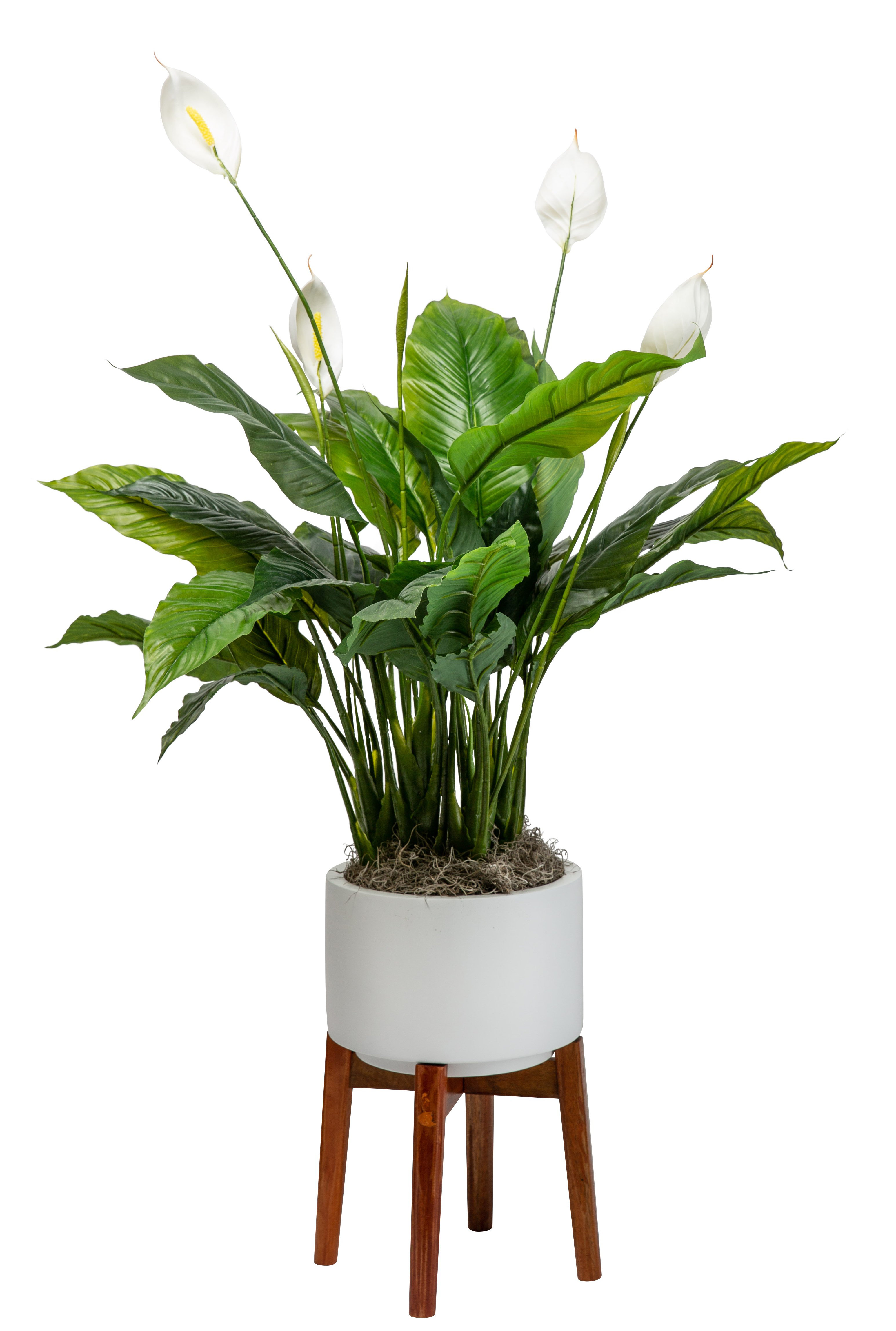Corrigan Studio Westhought Fiberglass Raised Garden Wayfair