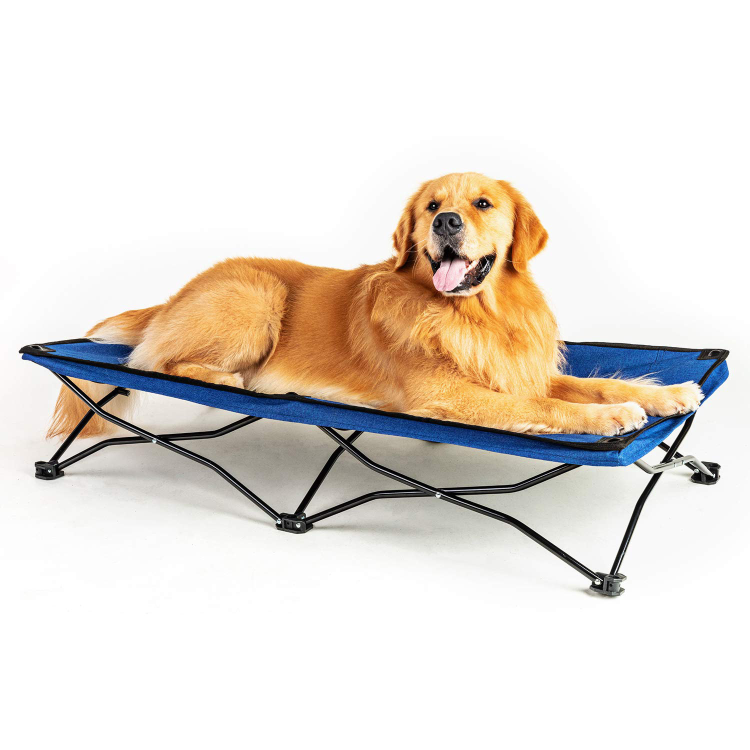 folding camping dog bed