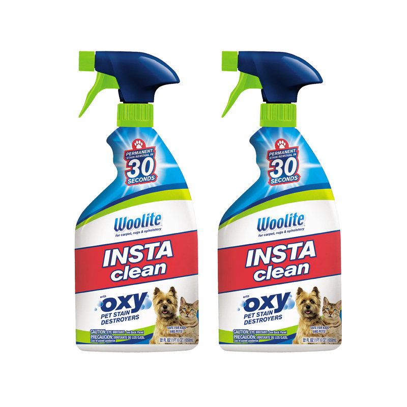 Woolite Insta Clean Pet Stain Odor Remover Reviews Wayfair