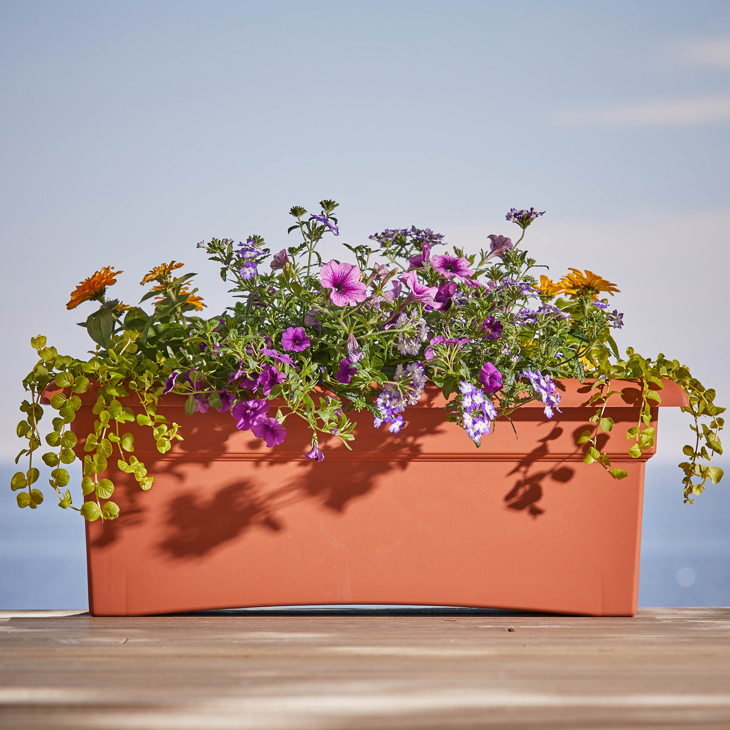 Lavender Ceramic Geometric Terracotta Windowsill Herb Bulb Planter Flower Pots