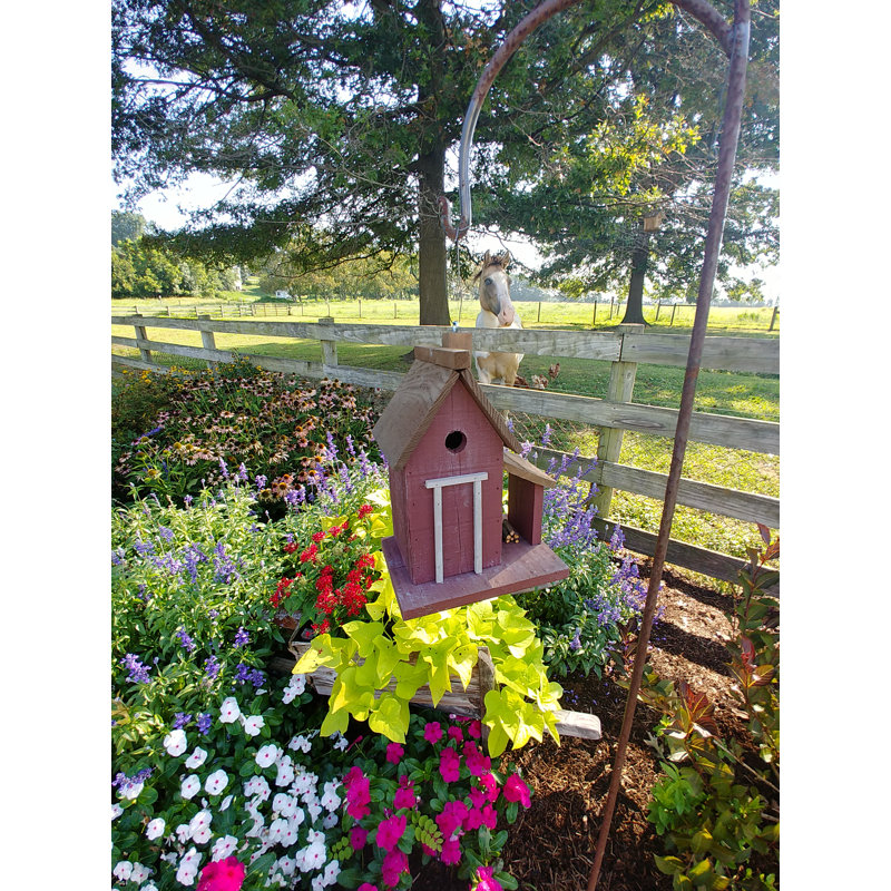 Home Bazaar Bird In Hand Warwick Woodcutter 13 H X 8 W X 10 D In Birdhouse Wayfair