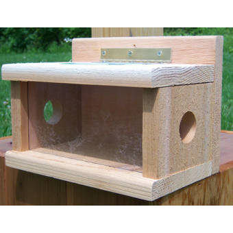 Birds Choice Cedar Bluebird Hopper Bird Feeder Wayfair Ca