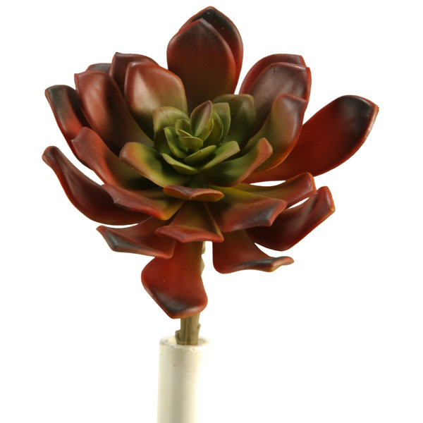 Cactus Artificial Echeveria Succulent Pick 6.25 Inches Tall Orange