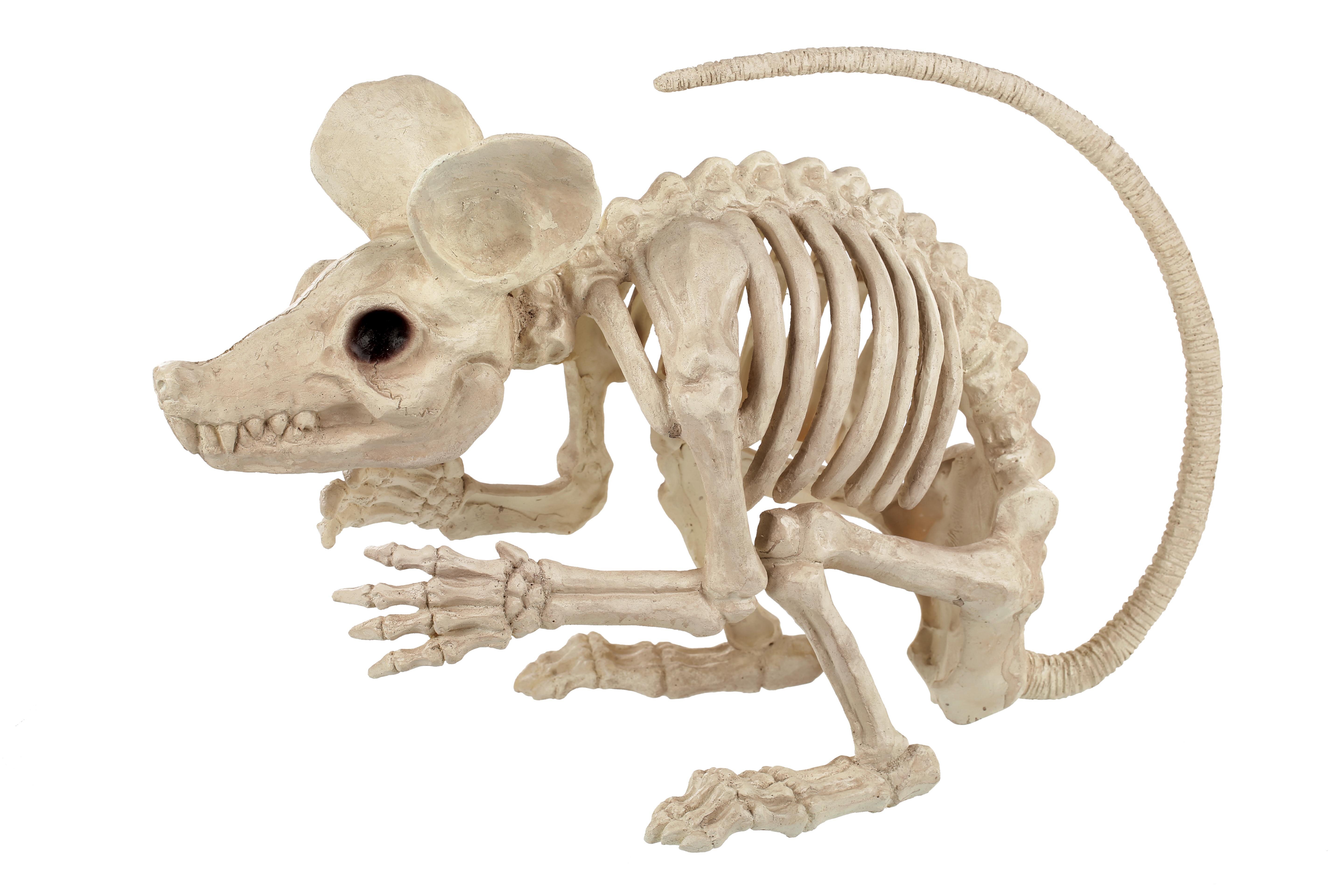 The Holiday Aisle Attack Rat Skeleton Figurine Wayfair