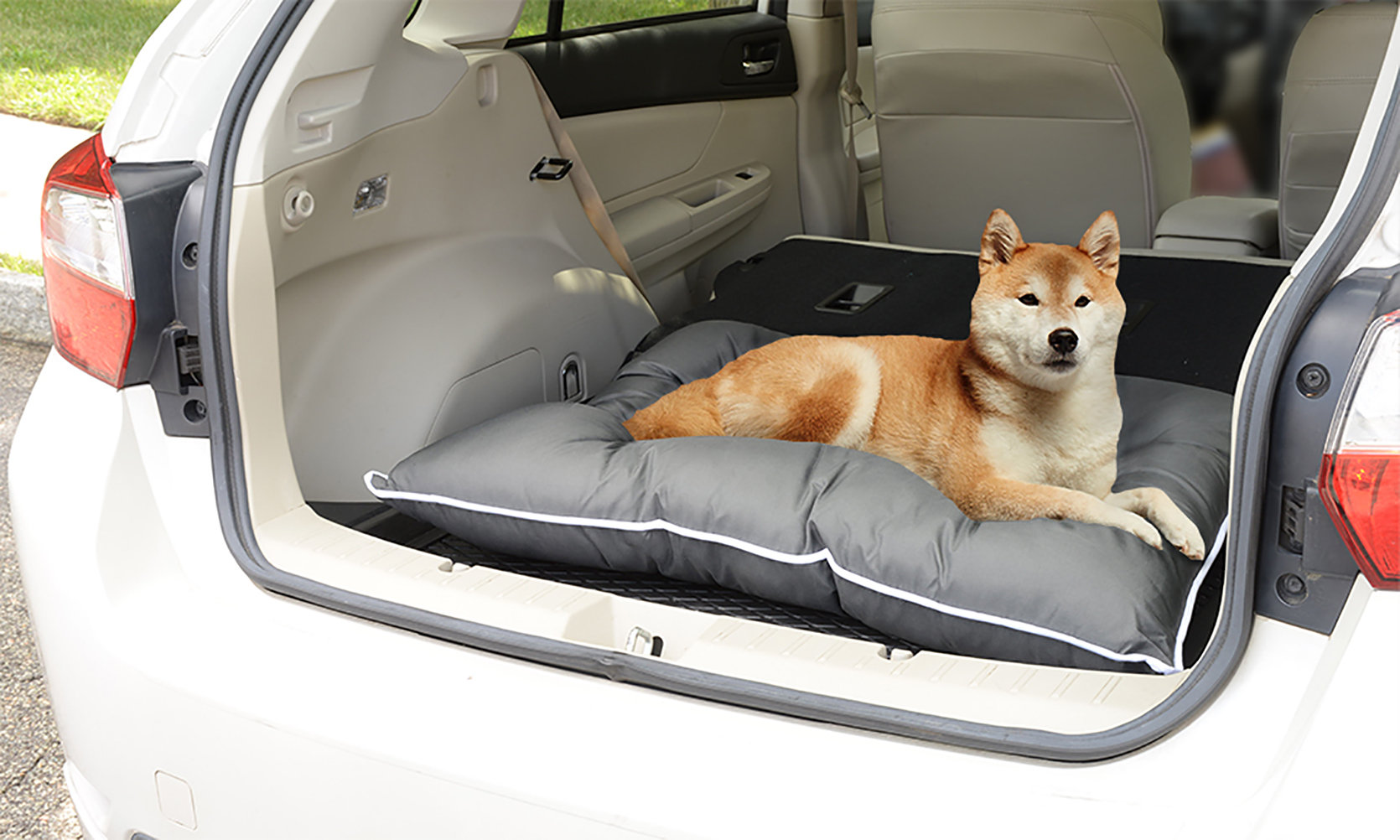 dog pillow for car