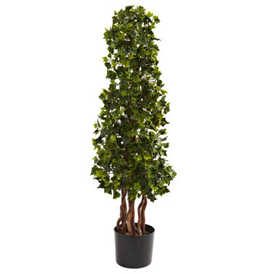Alcott Hill English Ivy Spiral Tree in Pot