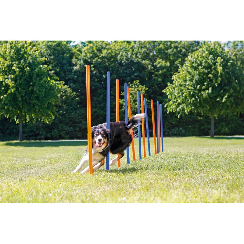 Trixie Agility Slalom Weave Poles for Dogs & Reviews | Wayfair