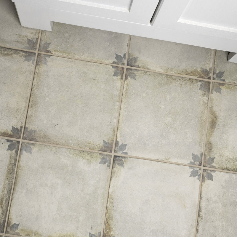 Elitetile Relic 9 X 9 Porcelain Patterned Wall Floor Tile