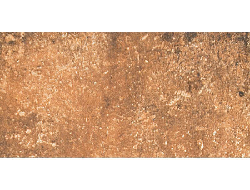 Newberry 8" x 16" Porcelain Field Tile in Cotto