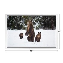 Home Decor C Wall Art Poster Grizzly Bear Jumping Art Print / Canvas Print 