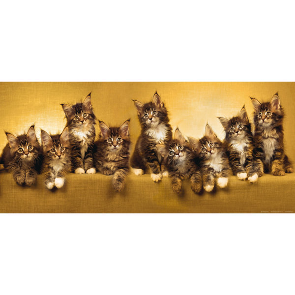 East Urban Home Maine Coon Kittens Mustard Non Woven 6 7 L X 36
