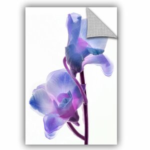 Orchid Morphing 2 Wall Decal