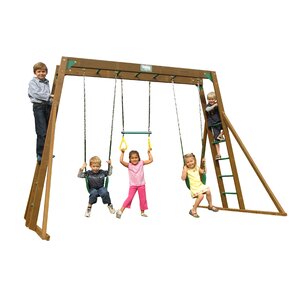 Classic Top Ladder Swing Set