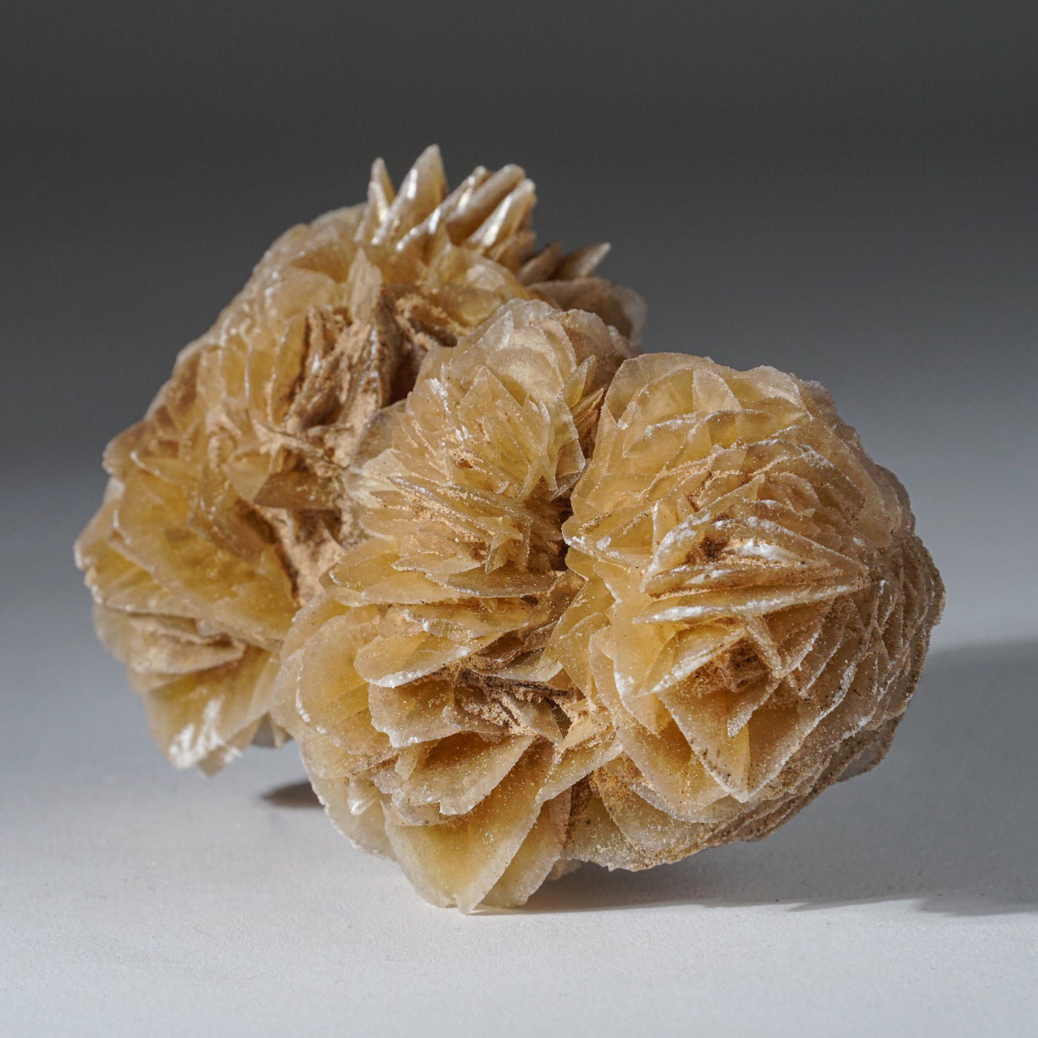 Astro Gallery of Gems Natural Desert Rose Selenite Cluster from Mexico ...