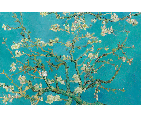 blossom almond van gogh