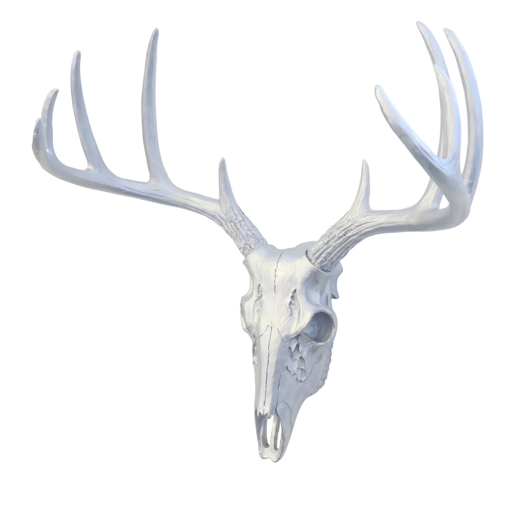 Faux Taxidermy Mini Deer Skull Wall Decor Reviews Allmodern