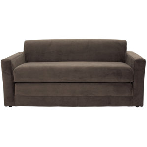 Pardue Sleeper Loveseat by Varick Gall..