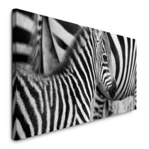 Wilde Nummer auf Zebrasofa Wilde Nummer auf Zebrasofa
