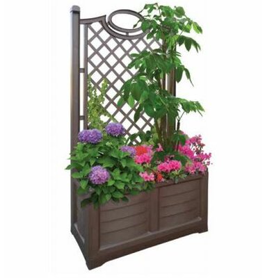 Rectangular Planters You'll Love Wayfair