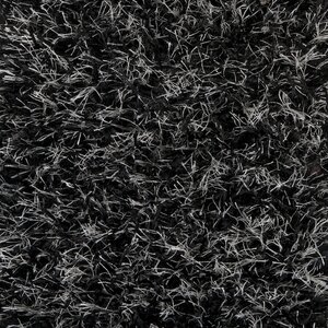 Reina Jet Black Rug