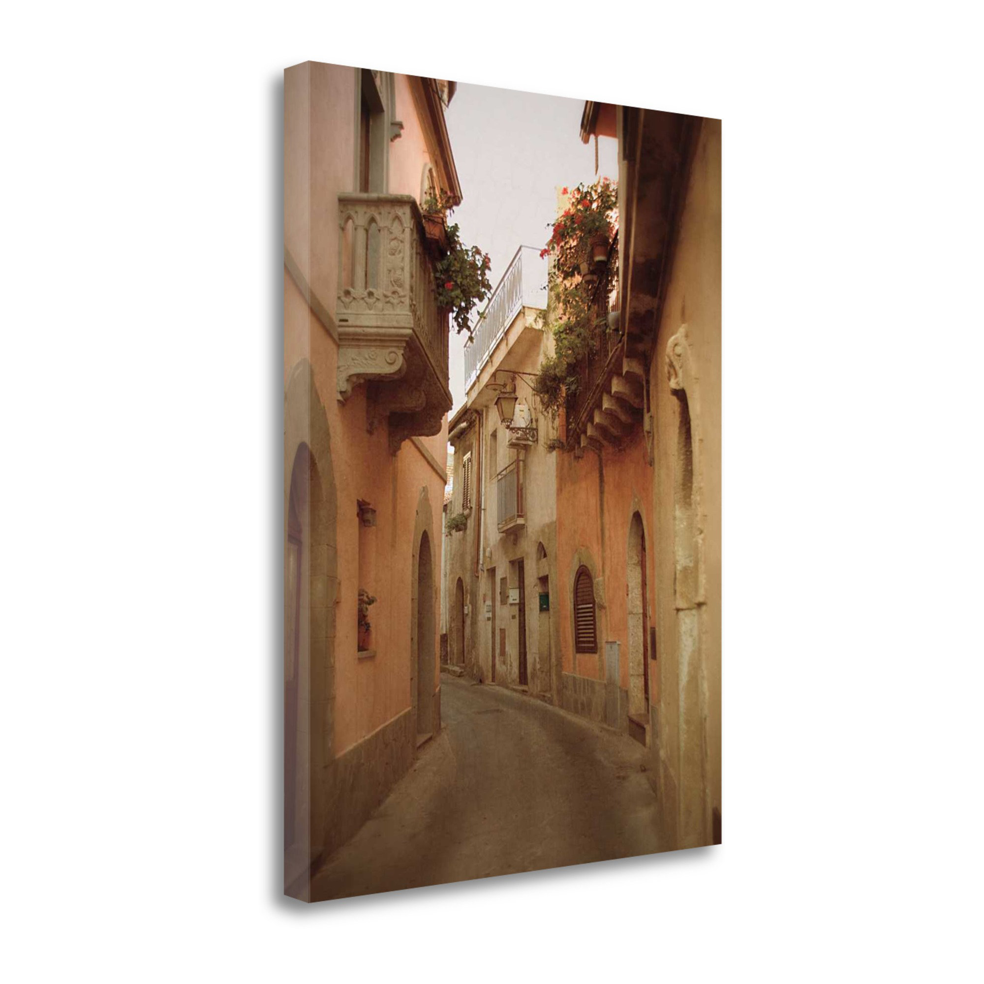 Tangletown Fine Art Forza Dargo Alleyway Ii By Heather Jacks Graphic Art On Canvas Wayfair