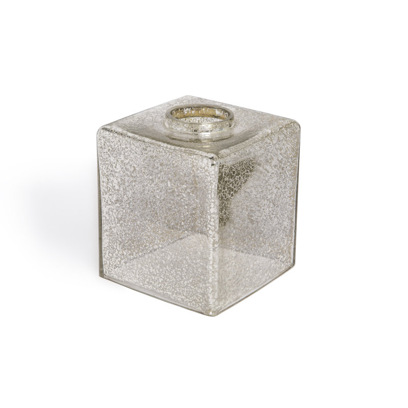 Stoutland Mercury Glass Tissue Box Cover & Reviews Birch Lane