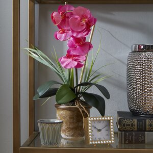 Phalaenopsis Silk Orchid Flower in Vase