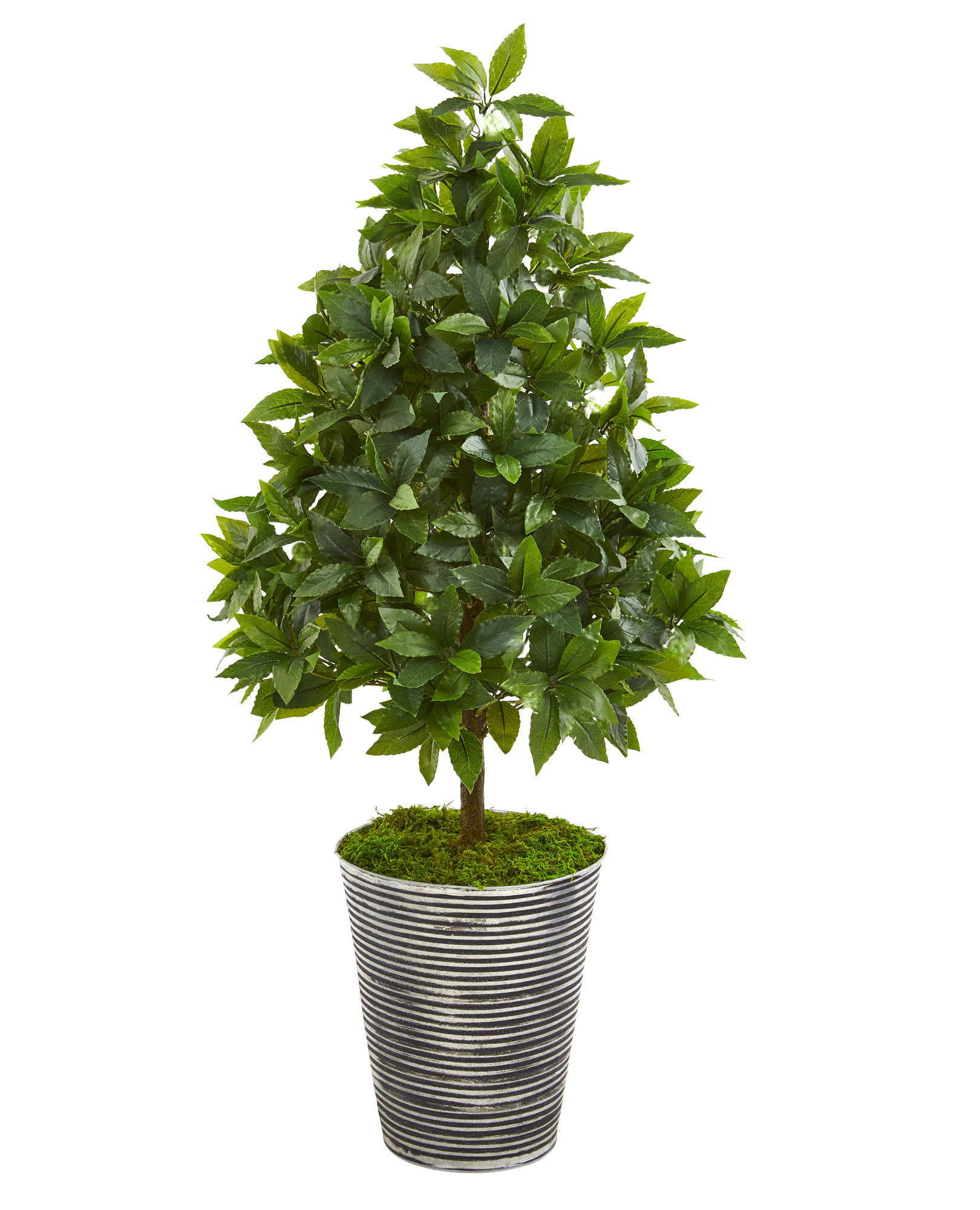 Charlton Home® 35'' Faux Sweet Bay Tree in Metal Planter Wayfair