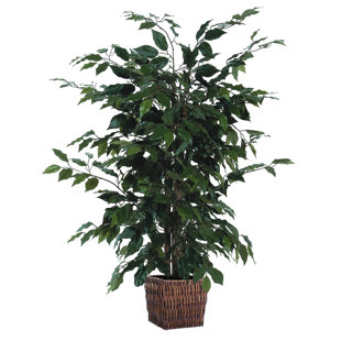 Artificial Fake Plants You Ll Love In 2020 Wayfair