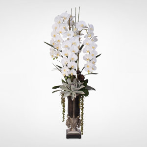 Phalaenopsis Orchid and Artificial Succulents Floral Arrangement in Vase