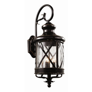 Haskins Outdoor Wall Lantern