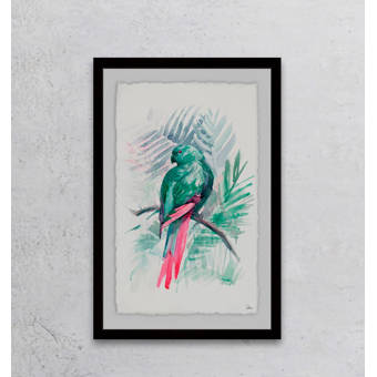 Trademark Art White Lotus By Philippe Hugonnard Framed Photographic Print Wayfair