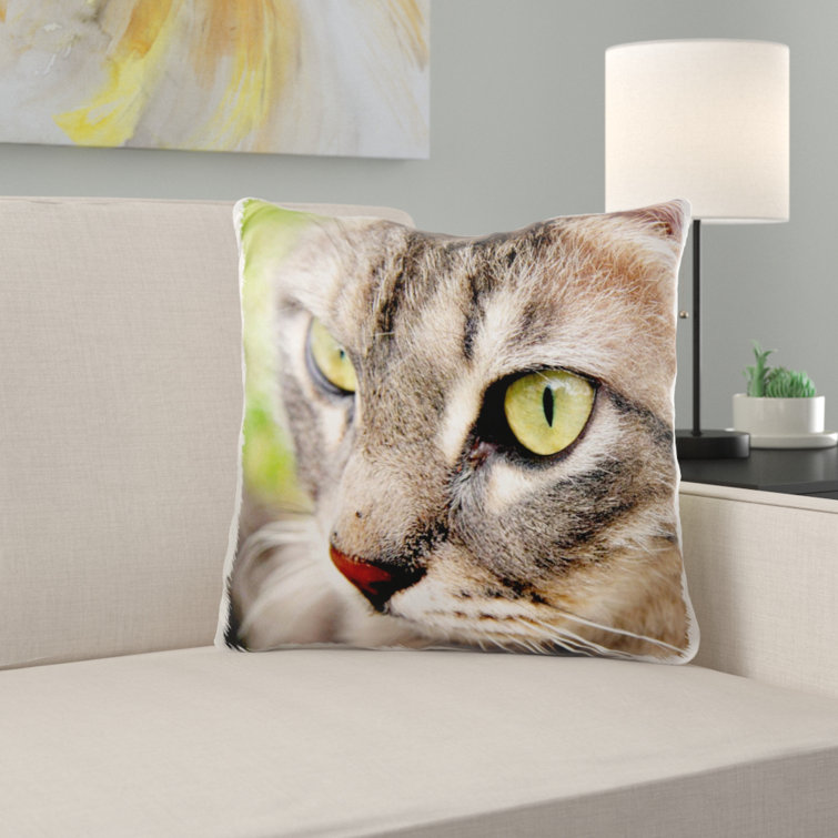 tabby cat pillow