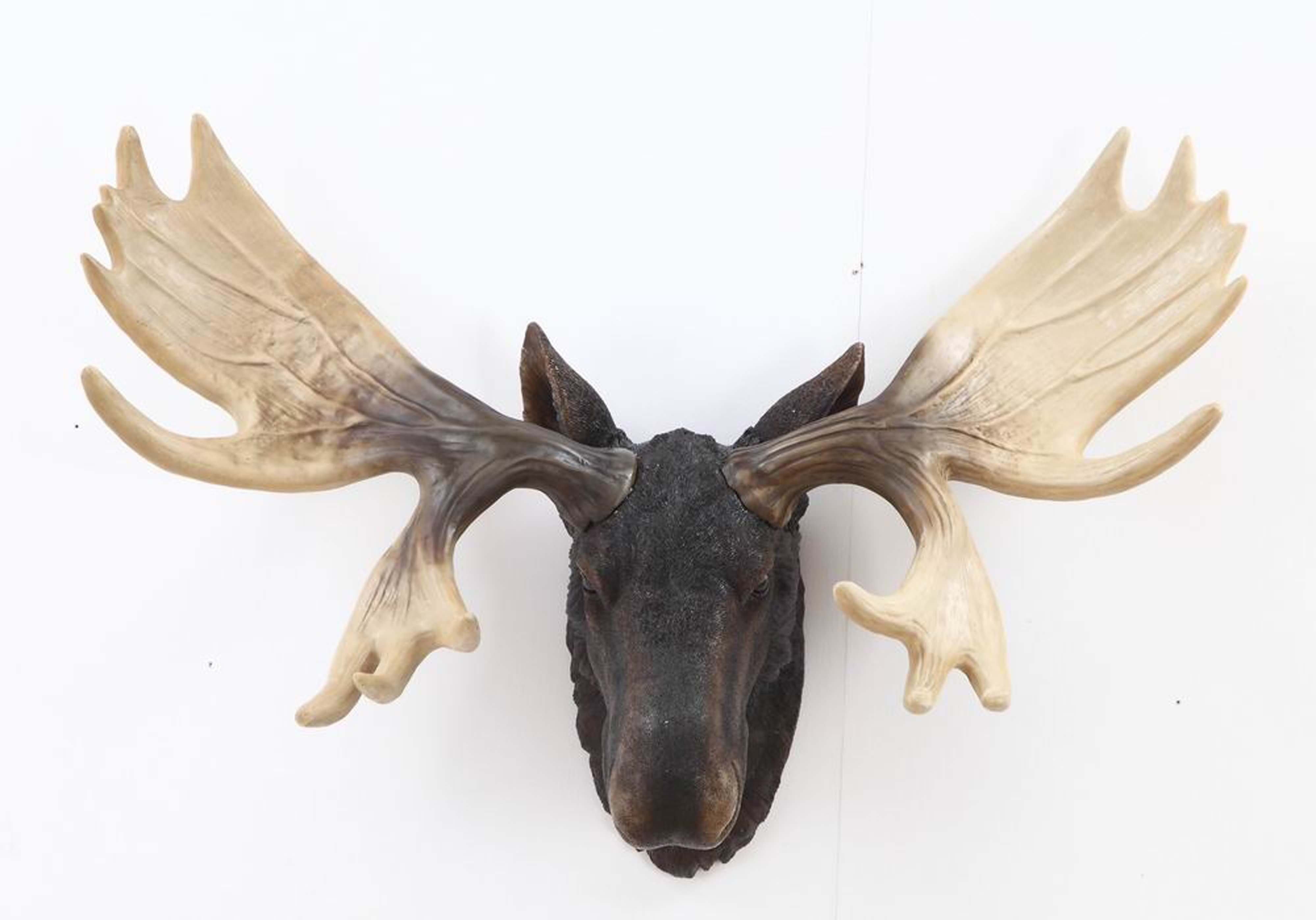 Moose Head Wall Décor Moose Head Wall Décor
