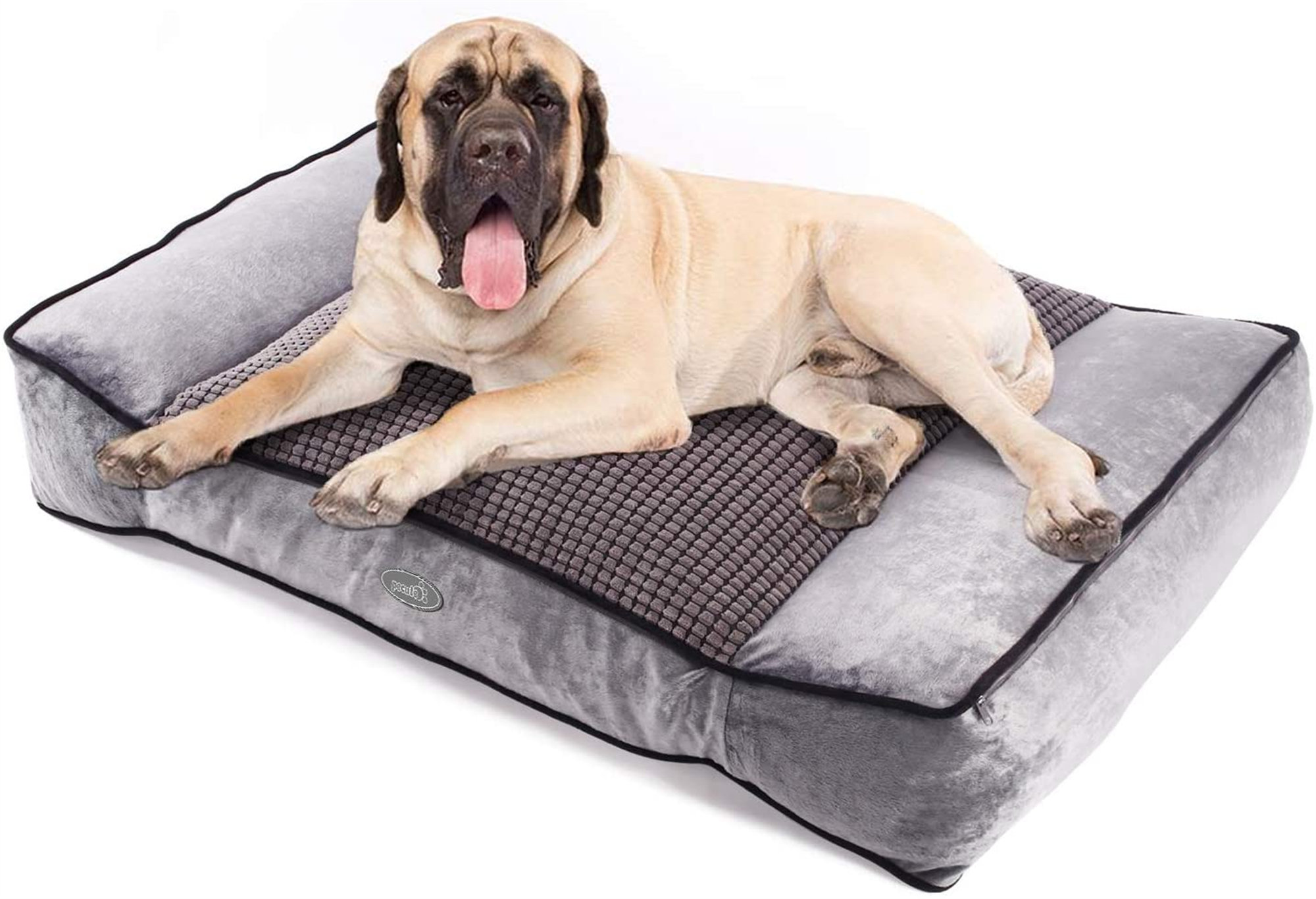 double dog bed