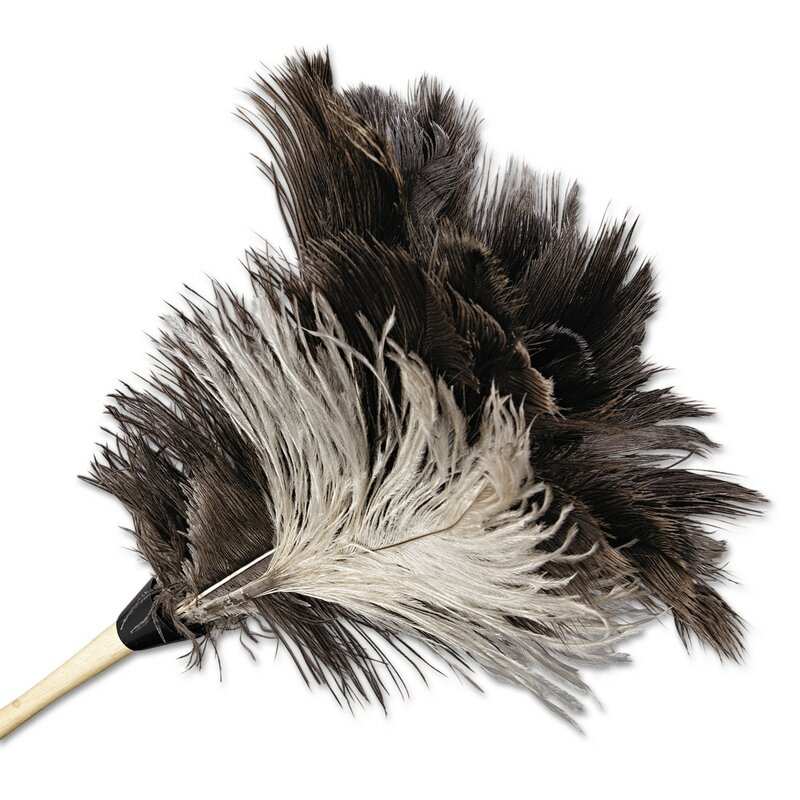 long handled ostrich feather duster