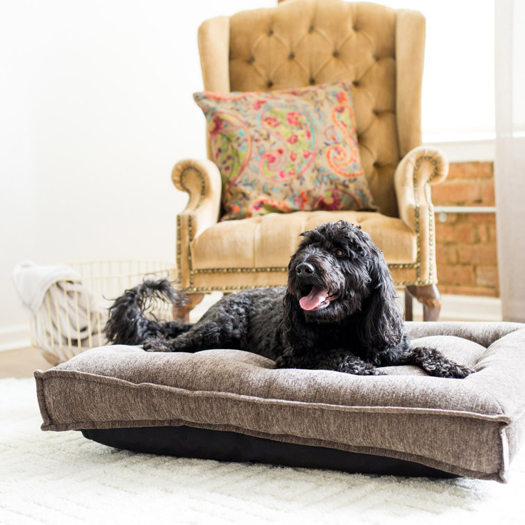 baxter couch dog bed