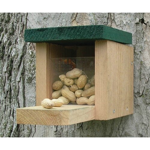 Songbird Essentials Snack Box Squirrel Feeder Wayfair