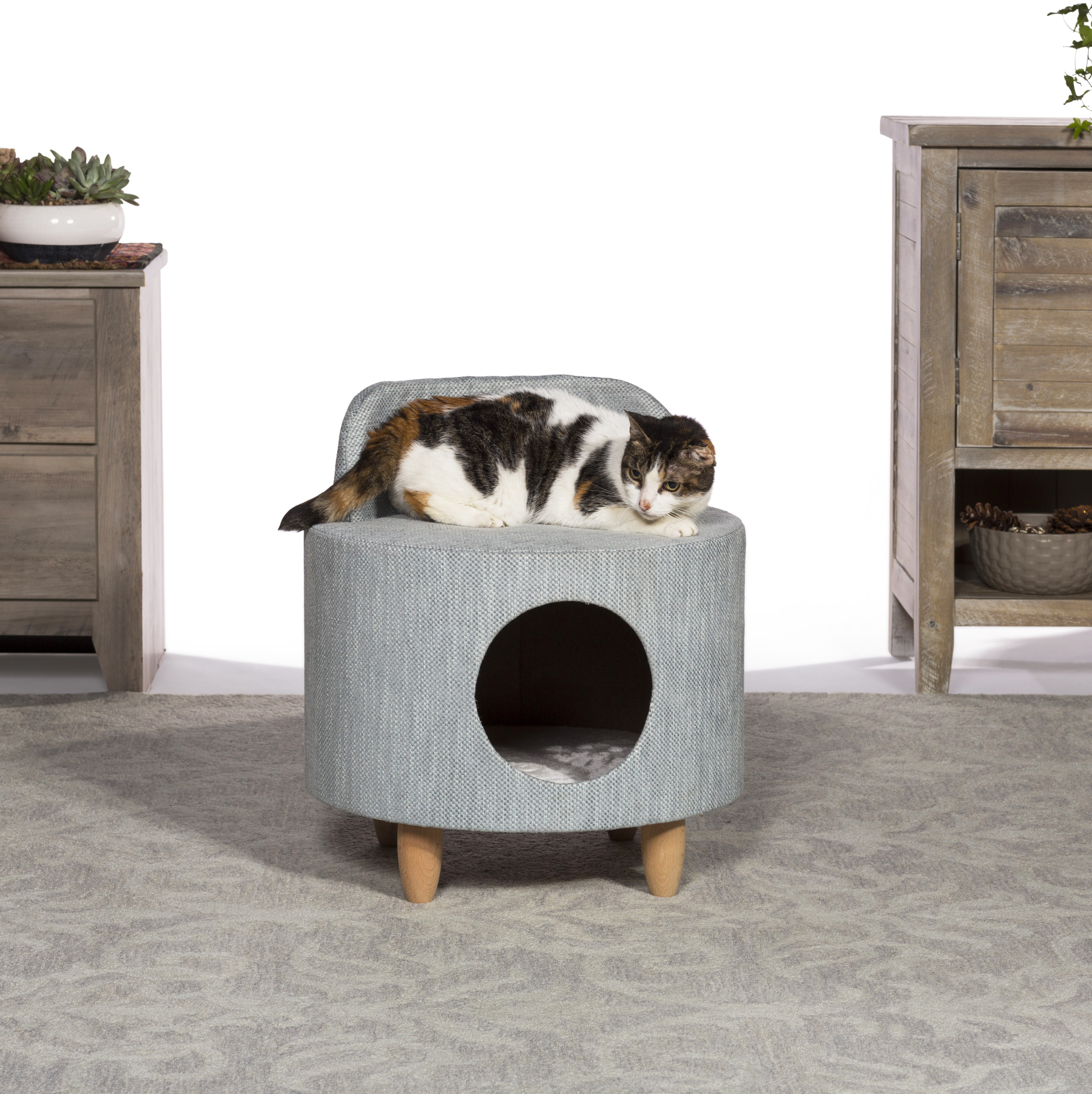 Tucker Murphy Pet 22 Boland Kitty Power Paws Plush Hollywood Chair Cat Condo Reviews Wayfair