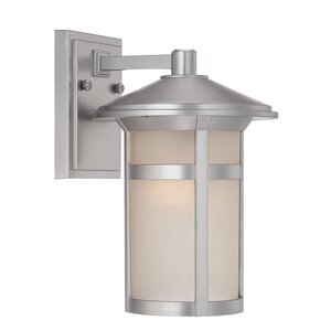 Phoenix 1-Light Outdoor Wall Lantern