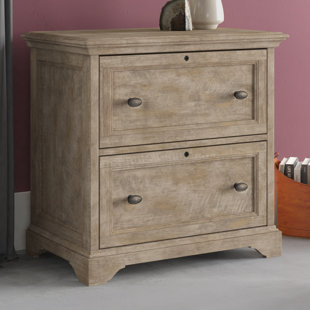 Ellenton 2 Drawer Lateral Filing Cabinet by Greyleigh