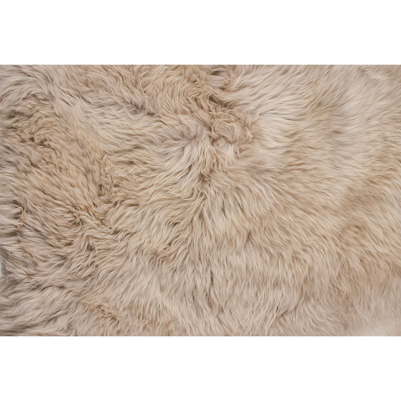 Natural Rugs Handmade Sheepskin Taupe Area Rug Reviews Wayfair Rugs Handmade Sheepskin Taupe Area Rug