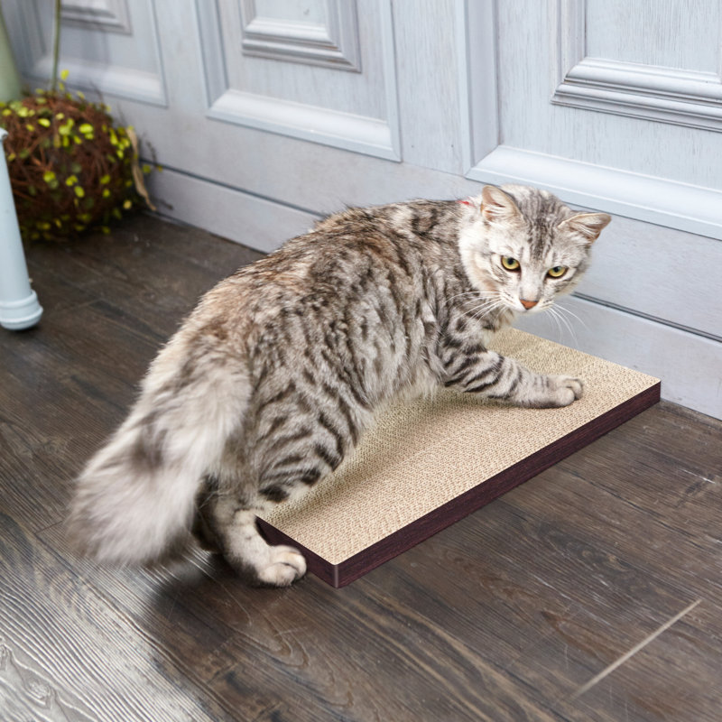 wayfair cat scratching post