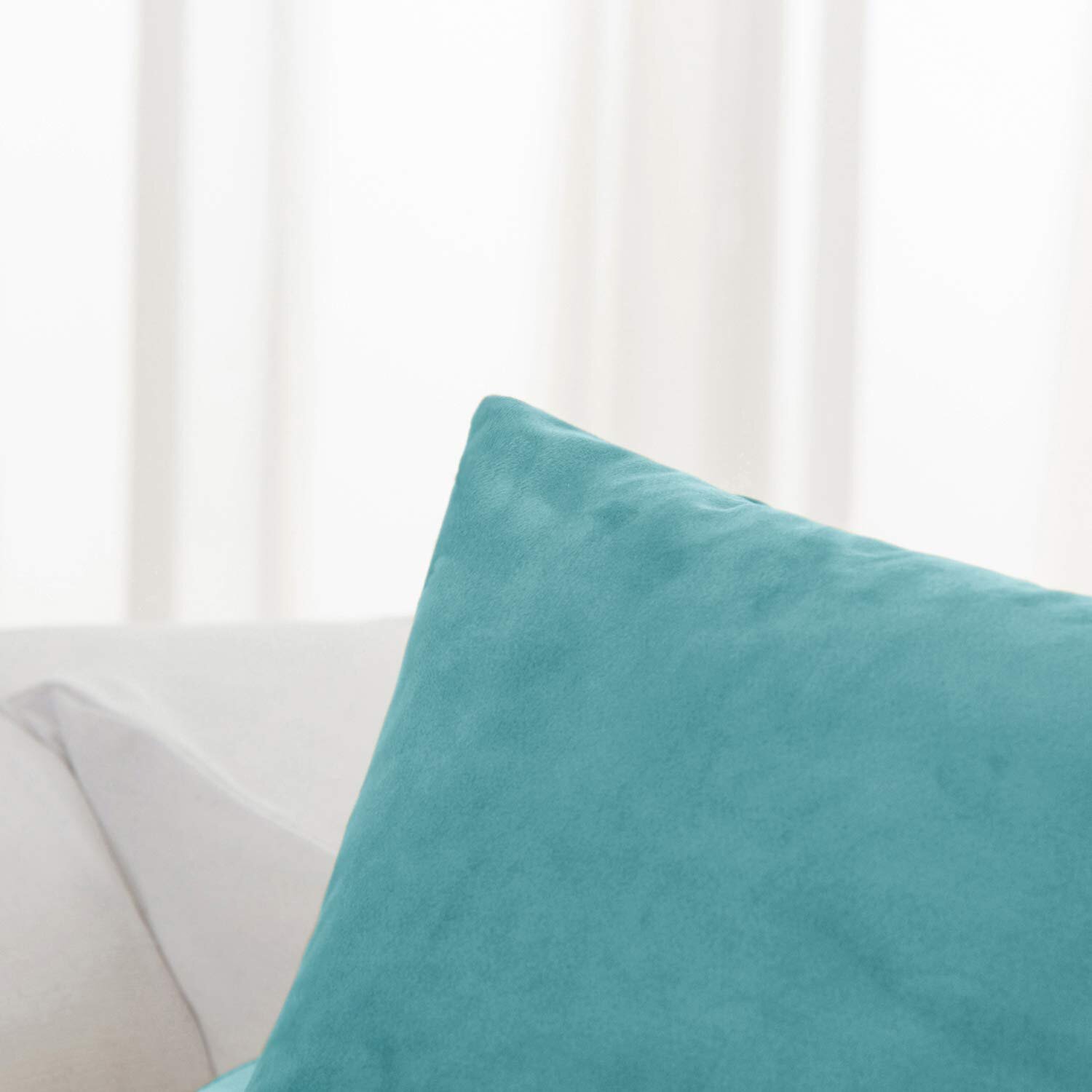 2 Pack Velvet Soft Soild Decorative Square Throw Pillow Covers Set Cushion Case
