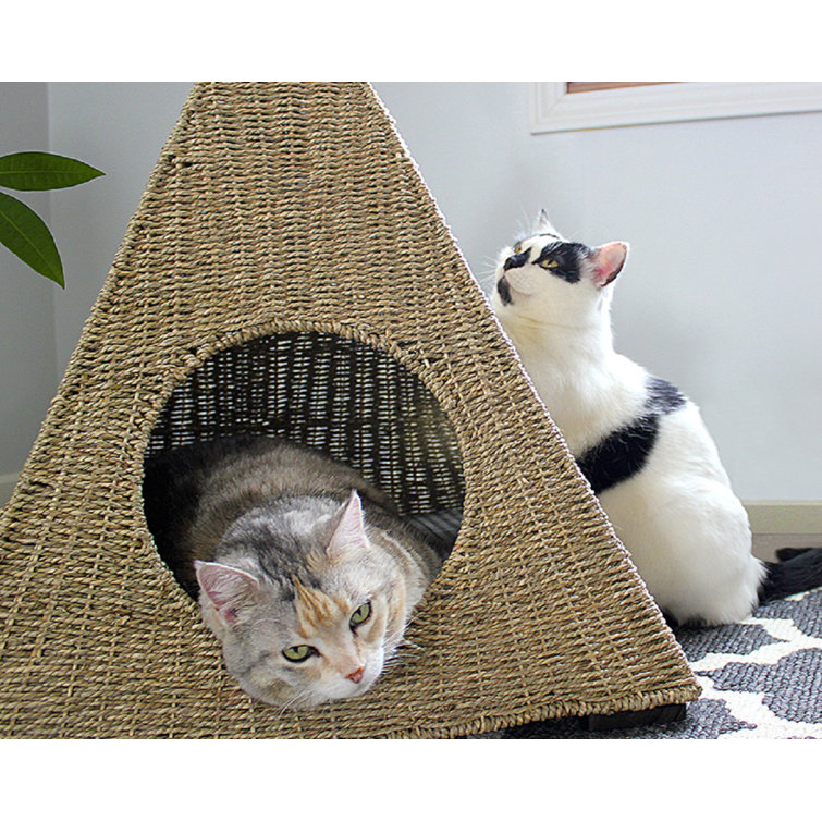 pyramid cat bed