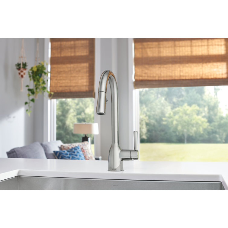 Moen Adler Pull Down Single Handle Kitchen Faucet With Accessories Reviews Wayfair