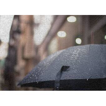 brown rain umbrella