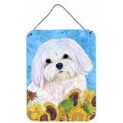 Maltese Art Wayfair